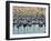 Westhaven, Waitemata Harbour, Auckland, North Island, New Zealand, Pacific-Jochen Schlenker-Framed Photographic Print