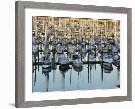 Westhaven, Waitemata Harbour, Auckland, North Island, New Zealand, Pacific-Jochen Schlenker-Framed Photographic Print