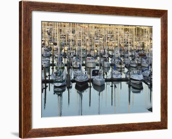 Westhaven, Waitemata Harbour, Auckland, North Island, New Zealand, Pacific-Jochen Schlenker-Framed Photographic Print