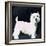 Westie, 1991-Maggie Rowe-Framed Giclee Print