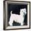 Westie, 1991-Maggie Rowe-Framed Giclee Print