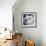 Westie - Chispy 3-Dawgart-Framed Giclee Print displayed on a wall