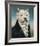 Westie With A Jabot-Thierry Poncelet-Framed Premium Giclee Print