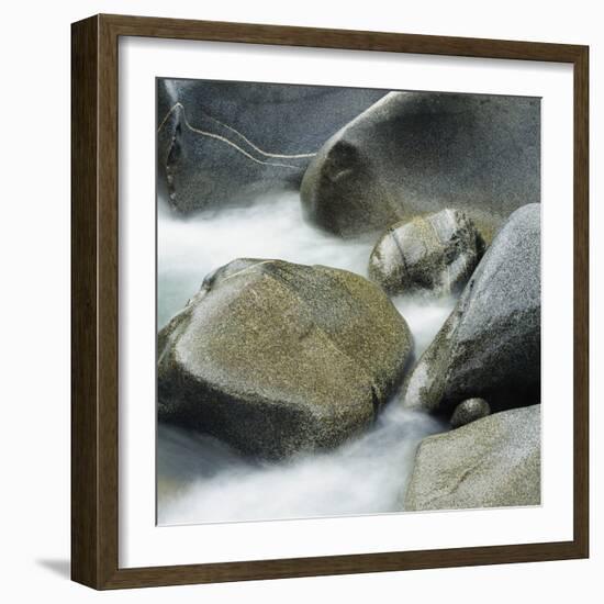 Westland National Park, South Island, New Zealand-Micha Pawlitzki-Framed Photographic Print