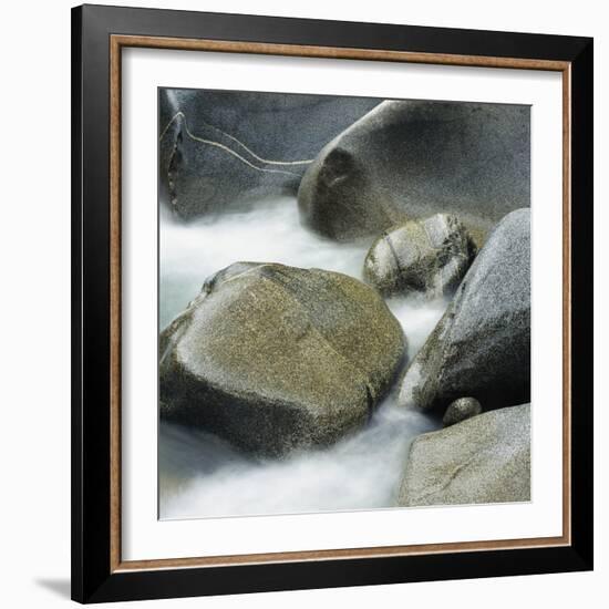 Westland National Park, South Island, New Zealand-Micha Pawlitzki-Framed Photographic Print