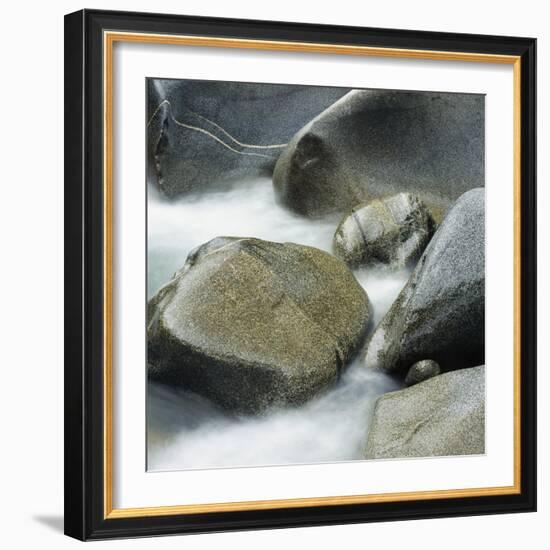 Westland National Park, South Island, New Zealand-Micha Pawlitzki-Framed Photographic Print