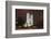 Westminster Abbey in the City of Westminster, London, England-David Bank-Framed Photographic Print