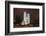 Westminster Abbey in the City of Westminster, London, England-David Bank-Framed Photographic Print