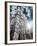 Westminster Abbey-Andrea Costantini-Framed Photographic Print