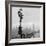 Westminster Bridge and Houses of Parliament, 1962-Henry Grant-Framed Giclee Print