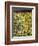 Westminster-Brenda Brin Booker-Framed Giclee Print