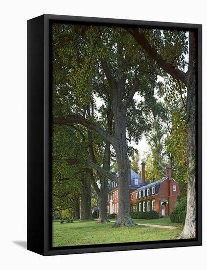 Westover Plantation, Tulip Poplars, Charles City County, Virginia, USA-Charles Gurche-Framed Premier Image Canvas