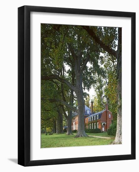 Westover Plantation, Tulip Poplars, Charles City County, Virginia, USA-Charles Gurche-Framed Photographic Print