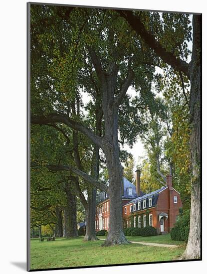 Westover Plantation, Tulip Poplars, Charles City County, Virginia, USA-Charles Gurche-Mounted Photographic Print