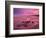 Westward Ho! beach at sunrise, Devon, UK-Ross Hoddinott-Framed Photographic Print