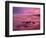 Westward Ho! beach at sunrise, Devon, UK-Ross Hoddinott-Framed Photographic Print