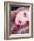 Wet and Wild-Maren Slay-Framed Photographic Print