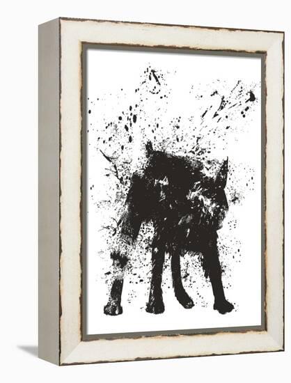 Wet Dog-Balazs Solti-Framed Stretched Canvas