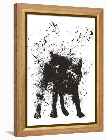 Wet Dog-Balazs Solti-Framed Stretched Canvas