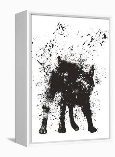 Wet Dog-Balazs Solti-Framed Stretched Canvas