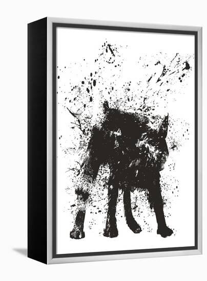 Wet Dog-Balazs Solti-Framed Stretched Canvas