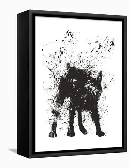 Wet Dog-Balazs Solti-Framed Stretched Canvas