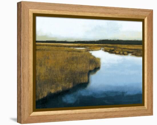 Wet Lands I-Norman Wyatt Jr.-Framed Stretched Canvas