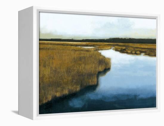 Wet Lands I-Norman Wyatt Jr.-Framed Stretched Canvas