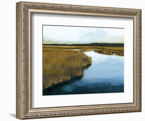 Wet Lands I-Norman Wyatt Jr.-Framed Art Print