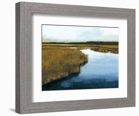 Wet Lands I-Norman Wyatt Jr.-Framed Art Print