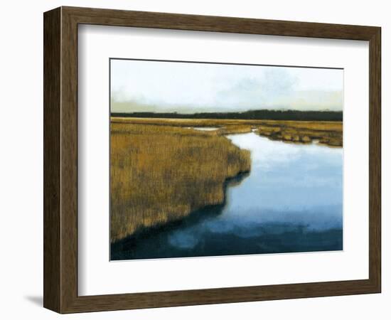 Wet Lands I-Norman Wyatt Jr.-Framed Art Print