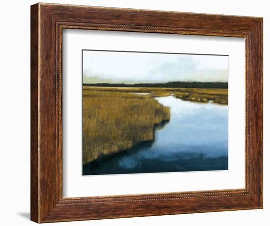 Wet Lands I-Norman Wyatt Jr.-Framed Art Print