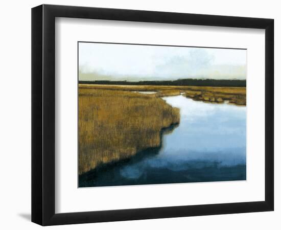 Wet Lands I-Norman Wyatt Jr.-Framed Art Print