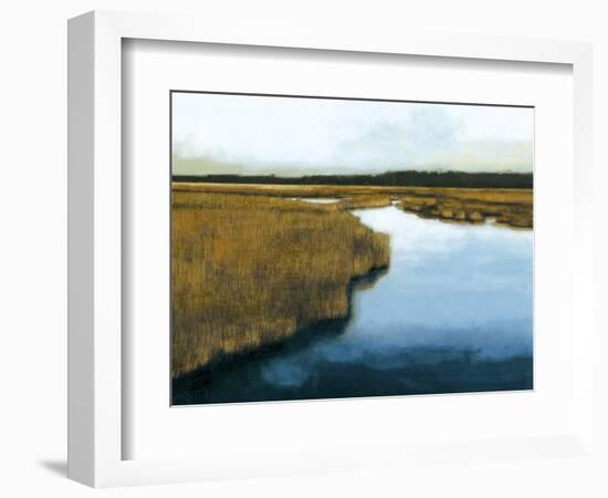 Wet Lands I-Norman Wyatt Jr.-Framed Art Print