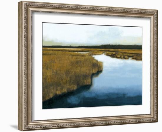 Wet Lands I-Norman Wyatt Jr.-Framed Art Print