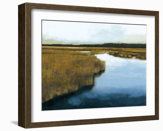 Wet Lands I-Norman Wyatt Jr.-Framed Art Print