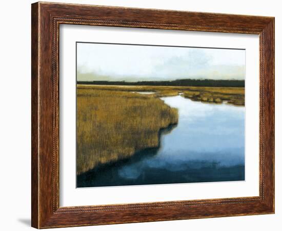 Wet Lands I-Norman Wyatt Jr.-Framed Art Print