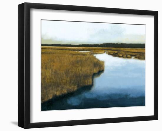 Wet Lands I-Norman Wyatt Jr.-Framed Art Print