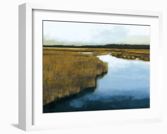 Wet Lands I-Norman Wyatt Jr.-Framed Art Print