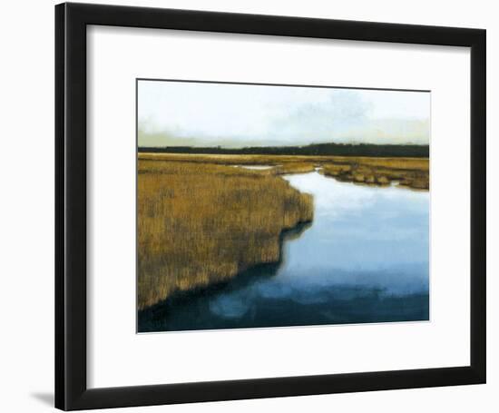 Wet Lands I-Norman Wyatt Jr.-Framed Art Print