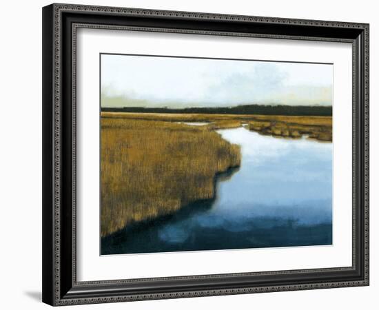 Wet Lands I-Norman Wyatt Jr.-Framed Art Print