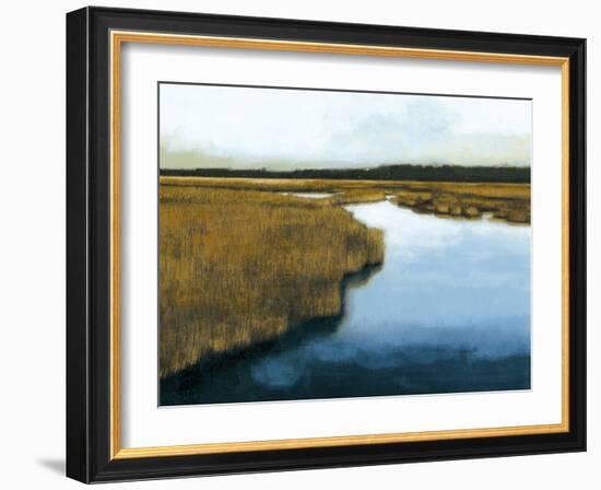 Wet Lands I-Norman Wyatt Jr.-Framed Art Print