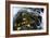 Wet Leaves-Danny Head-Framed Photographic Print