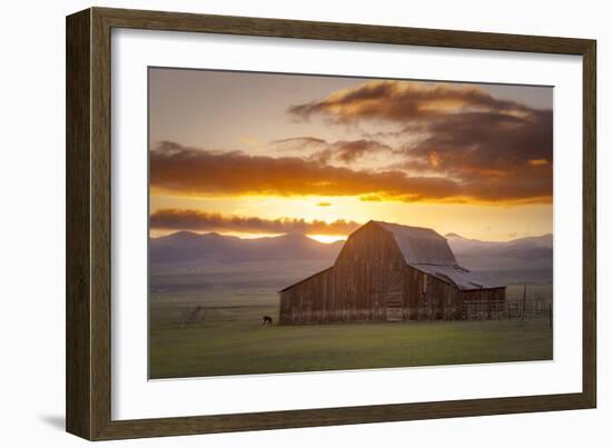 Wet Mountain Barn II-Dan Ballard-Framed Photographic Print