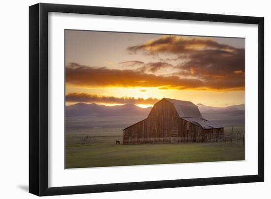 Wet Mountain Barn II-Dan Ballard-Framed Photographic Print