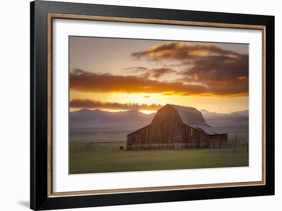 Wet Mountain Barn II-Dan Ballard-Framed Photographic Print