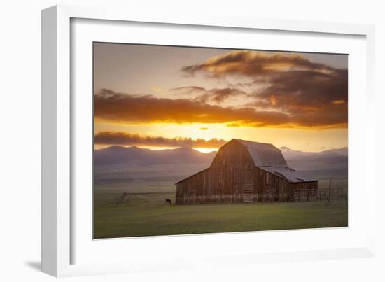 Wet Mountain Barn II-Dan Ballard-Framed Photographic Print