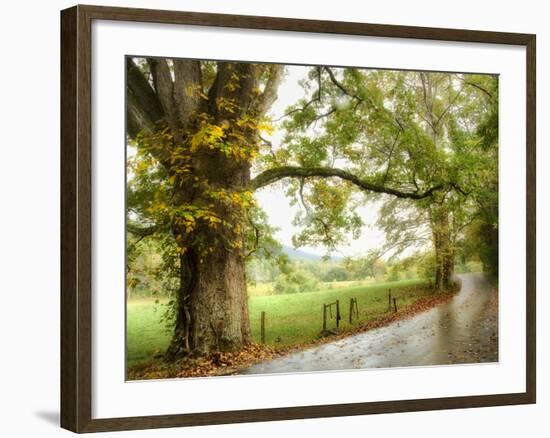 Wet Path-Danny Head-Framed Photographic Print