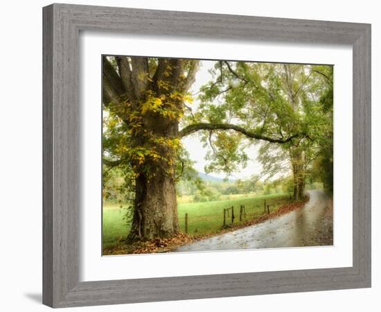 Wet Path-Danny Head-Framed Photographic Print