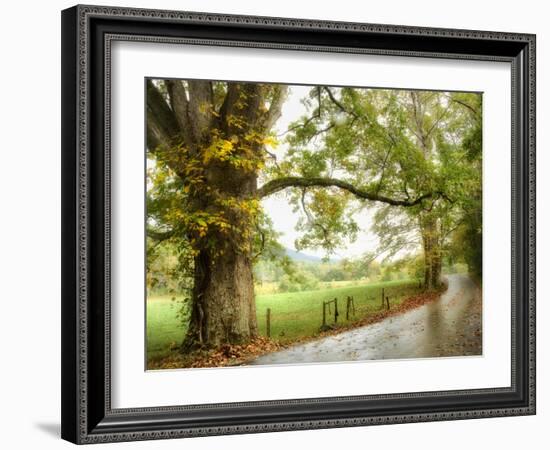 Wet Path-Danny Head-Framed Photographic Print